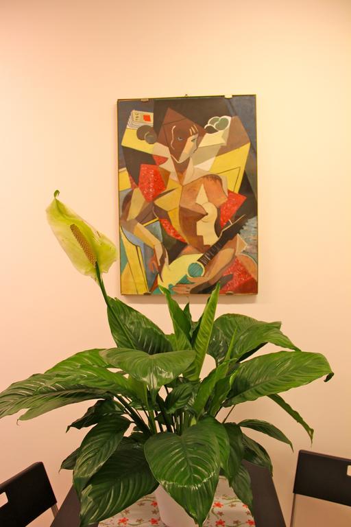 רומא Lo Studio Guest House מראה חיצוני תמונה